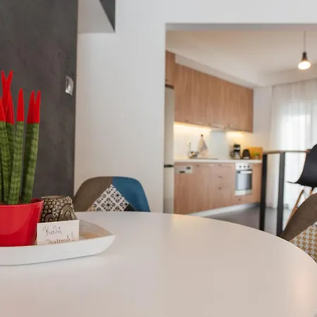 Sansevieria Apartment