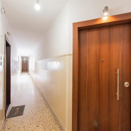 Sansevieria Apartment *