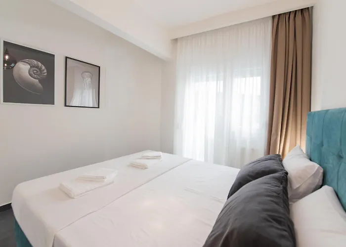 Sansevieria Thessaloniki